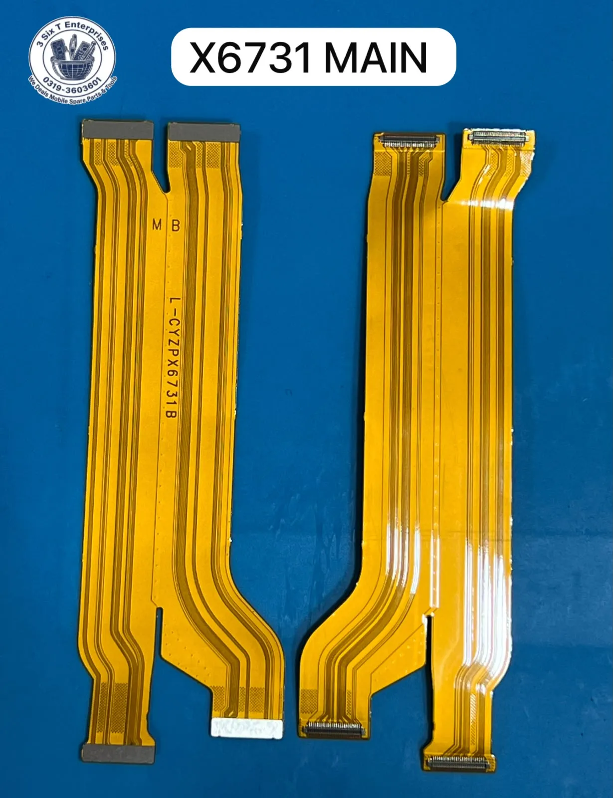 X6731 Main Ribbon